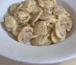 Orecchiette con funghi e gorgonzola - la cucina pugliese